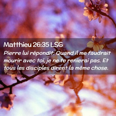 Picture 02 - Matthieu 26:35 LSG - Pierre lui répondit: Quand il me faudrait mourir - Bible Verse Picture