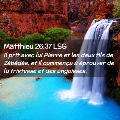 Picture 02 - Matthieu 26:37 LSG - Il prit avec lui Pierre et les deux fils de - Bible Verse Picture