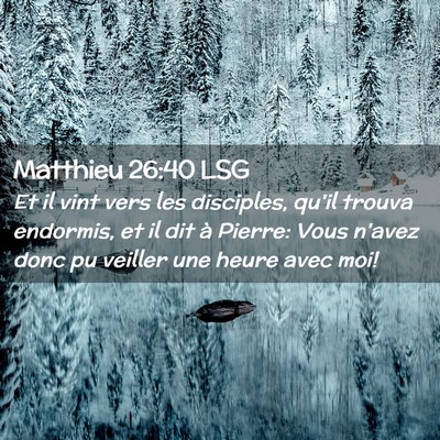 Picture 02 - Matthieu 26:40 LSG - Et il vint vers les disciples, qu'il trouva - Bible Verse Picture