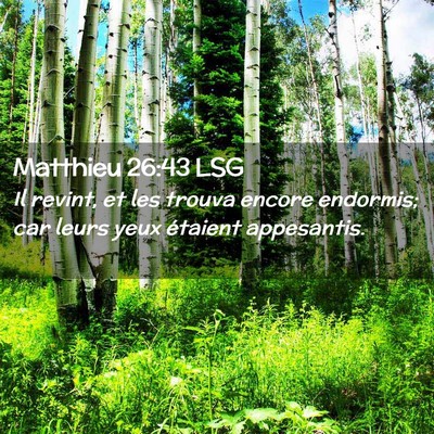 Picture 02 - Matthieu 26:43 LSG - Il revint, et les trouva encore endormis; car - Bible Verse Picture