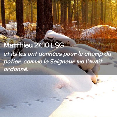 Picture 02 - Matthieu 27:10 LSG - et ils les ont données pour le champ du potier, - Bible Verse Picture