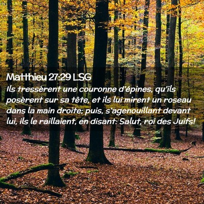 Picture 02 - Matthieu 27:29 LSG - Ils tressèrent une couronne d'épines, qu'ils - Bible Verse Picture