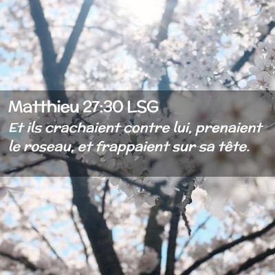 Picture 02 - Matthieu 27:30 LSG - Et ils crachaient contre lui, prenaient le - Bible Verse Picture