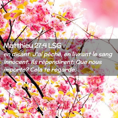 Picture 02 - Matthieu 27:4 LSG - en disant: J'ai péché, en livrant le sang - Bible Verse Picture