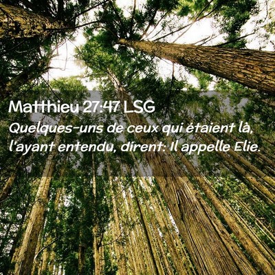 Picture 02 - Matthieu 27:47 LSG - Quelques-uns de ceux qui étaient là, l'ayant - Bible Verse Picture
