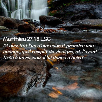 Picture 02 - Matthieu 27:48 LSG - Et aussitôt l'un d'eux courut prendre une - Bible Verse Picture