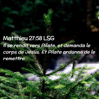 Picture 02 - Matthieu 27:58 LSG - Il se rendit vers Pilate, et demanda le corps de - Bible Verse Picture