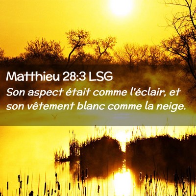 Picture 02 - Matthieu 28:3 LSG - Son aspect était comme l'éclair, et son - Bible Verse Picture