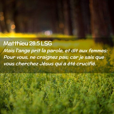 Picture 02 - Matthieu 28:5 LSG - Mais l'ange prit la parole, et dit aux femmes: - Bible Verse Picture