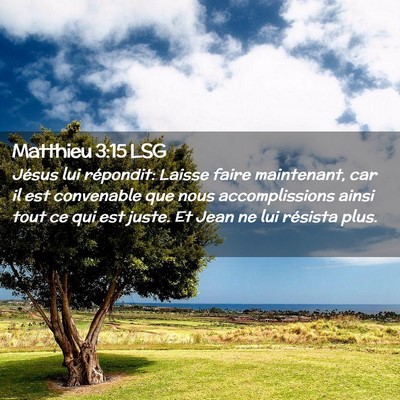 Picture 02 - Matthieu 3:15 LSG - Jésus lui répondit: Laisse faire maintenant, - Bible Verse Picture
