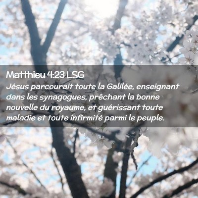 Picture 02 - Matthieu 4:23 LSG - Jésus parcourait toute la Galilée, enseignant - Bible Verse Picture