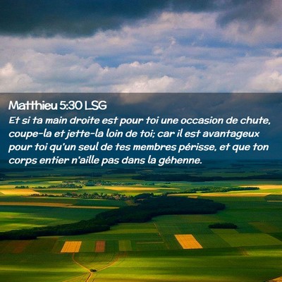 Picture 02 - Matthieu 5:30 LSG - Et si ta main droite est pour toi une occasion de - Bible Verse Picture