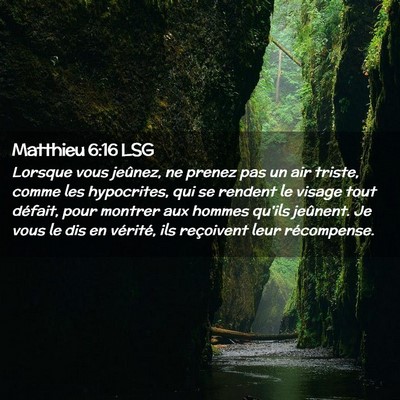 Picture 02 - Matthieu 6:16 LSG - Lorsque vous jeûnez, ne prenez pas un air - Bible Verse Picture