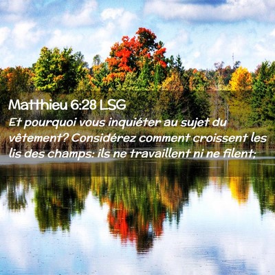 Picture 02 - Matthieu 6:28 LSG - Et pourquoi vous inquiéter au sujet du - Bible Verse Picture