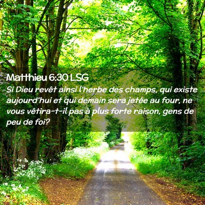 Picture 02 - Matthieu 6:30 LSG - Si Dieu revêt ainsi l'herbe des champs, qui - Bible Verse Picture