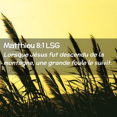 Picture 02 - Matthieu 8:1 LSG - Lorsque Jésus fut descendu de la montagne, une - Bible Verse Picture