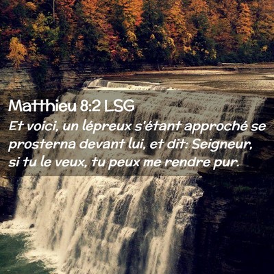 Picture 02 - Matthieu 8:2 LSG - Et voici, un lépreux s'étant approché se - Bible Verse Picture