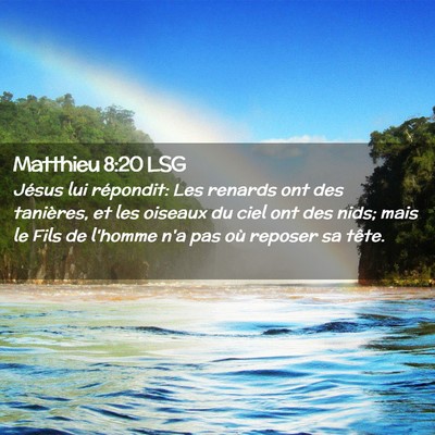 Picture 02 - Matthieu 8:20 LSG - Jésus lui répondit: Les renards ont des - Bible Verse Picture