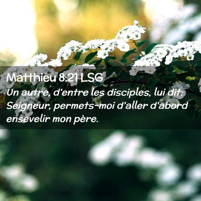 Picture 02 - Matthieu 8:21 LSG - Un autre, d'entre les disciples, lui dit: - Bible Verse Picture