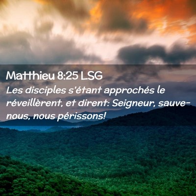 Picture 02 - Matthieu 8:25 LSG - Les disciples s'étant approchés le - Bible Verse Picture