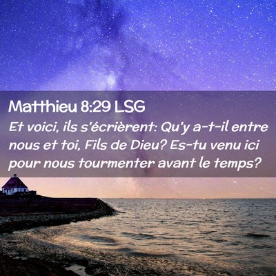 Picture 02 - Matthieu 8:29 LSG - Et voici, ils s'écrièrent: Qu'y a-t-il entre - Bible Verse Picture