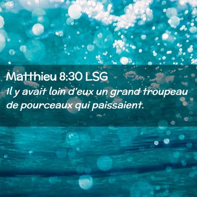 Picture 02 - Matthieu 8:30 LSG - Il y avait loin d'eux un grand troupeau de - Bible Verse Picture