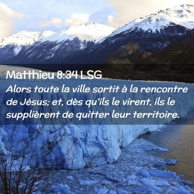 Picture 02 - Matthieu 8:34 LSG - Alors toute la ville sortit à la rencontre de - Bible Verse Picture