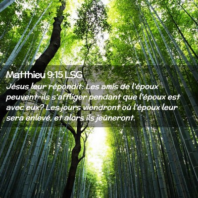 Picture 02 - Matthieu 9:15 LSG - Jésus leur répondit: Les amis de l'époux - Bible Verse Picture