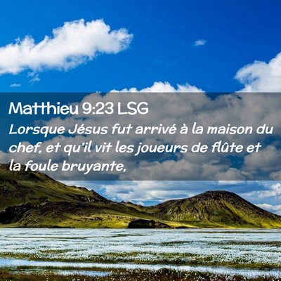 Picture 02 - Matthieu 9:23 LSG - Lorsque Jésus fut arrivé à la maison du chef, - Bible Verse Picture