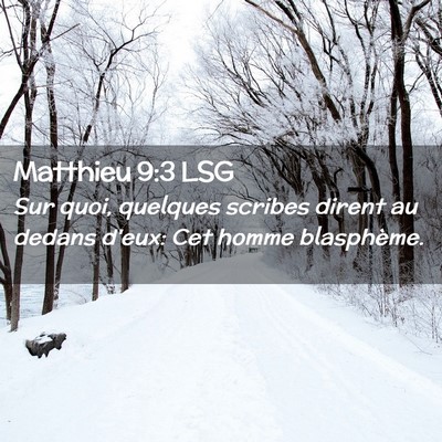 Picture 02 - Matthieu 9:3 LSG - Sur quoi, quelques scribes dirent au dedans - Bible Verse Picture