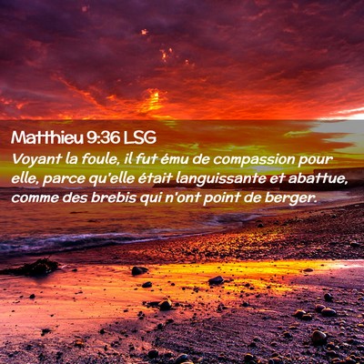 Picture 02 - Matthieu 9:36 LSG - Voyant la foule, il fut ému de compassion pour - Bible Verse Picture