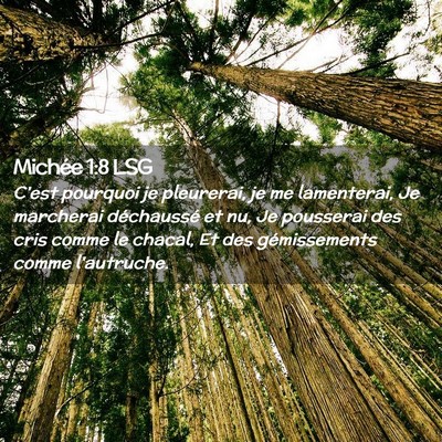 Picture 02 - Michée 1:8 LSG - C'est pourquoi je pleurerai, je me lamenterai, Je - Bible Verse Picture