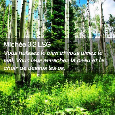 Picture 02 - Michée 3:2 LSG - Vous haïssez le bien et vous aimez le mal; Vous - Bible Verse Picture