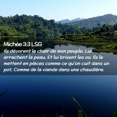 Picture 02 - Michée 3:3 LSG - Ils dévorent la chair de mon peuple, Lui - Bible Verse Picture