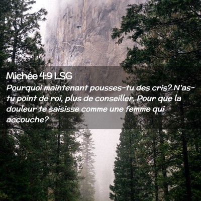 Picture 02 - Michée 4:9 LSG - Pourquoi maintenant pousses-tu des cris? N'as-tu - Bible Verse Picture