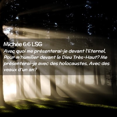 Picture 02 - Michée 6:6 LSG - Avec quoi me présenterai-je devant l'Eternel, - Bible Verse Picture