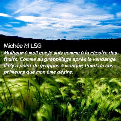 Picture 02 - Michée 7:1 LSG - Malheur à moi! car je suis comme à la récolte - Bible Verse Picture