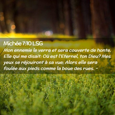 Picture 02 - Michée 7:10 LSG - Mon ennemie le verra et sera couverte de honte, - Bible Verse Picture