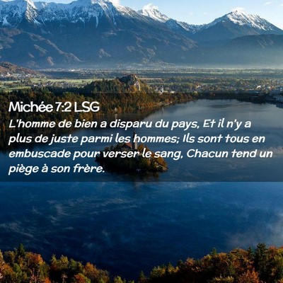 Picture 02 - Michée 7:2 LSG - L'homme de bien a disparu du pays, Et il n'y a - Bible Verse Picture