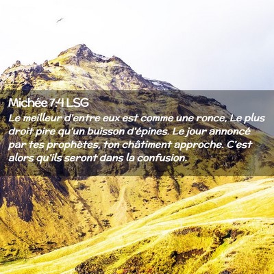 Picture 02 - Michée 7:4 LSG - Le meilleur d'entre eux est comme une ronce, Le - Bible Verse Picture