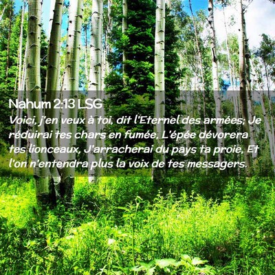 Picture 02 - Nahum 2:13 LSG - Voici, j'en veux à toi, dit l'Eternel des - Bible Verse Picture