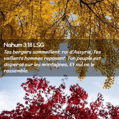 Picture 02 - Nahum 3:18 LSG - Tes bergers sommeillent, roi d'Assyrie, Tes - Bible Verse Picture
