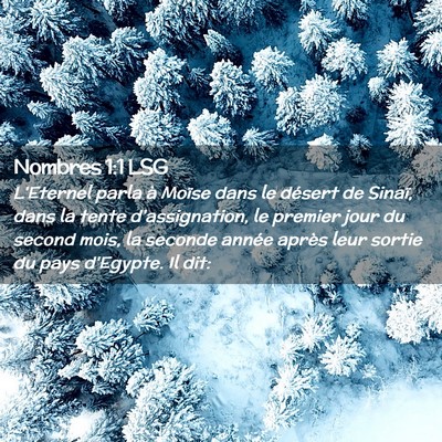 Picture 02 - Nombres 1:1 LSG - L'Eternel parla à Moïse dans le désert de - Bible Verse Picture
