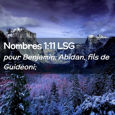Picture 02 - Nombres 1:11 LSG - pour Benjamin: Abidan, fils de - Bible Verse Picture