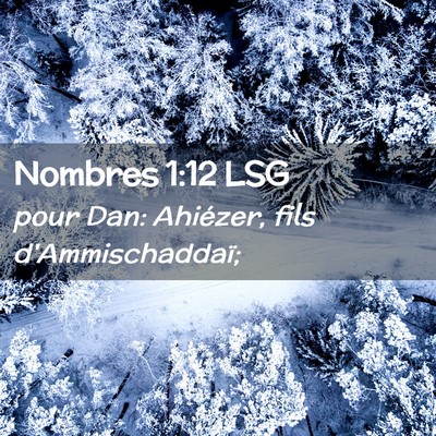 Picture 02 - Nombres 1:12 LSG - pour Dan: Ahiézer, fils - Bible Verse Picture