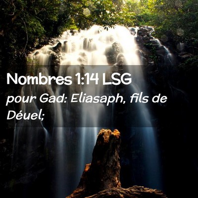 Picture 02 - Nombres 1:14 LSG - pour Gad: Eliasaph, fils de - Bible Verse Picture