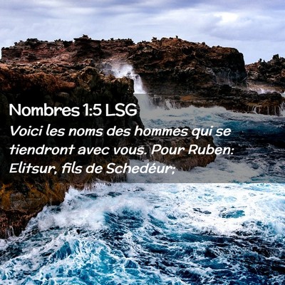 Picture 02 - Nombres 1:5 LSG - Voici les noms des hommes qui se tiendront avec - Bible Verse Picture
