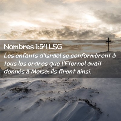 Picture 02 - Nombres 1:54 LSG - Les enfants d'Israël se conformèrent à tous - Bible Verse Picture