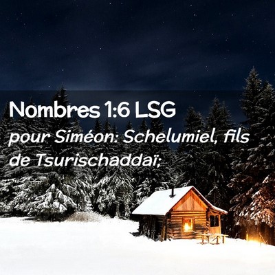 Picture 02 - Nombres 1:6 LSG - pour Siméon: Schelumiel, fils de - Bible Verse Picture