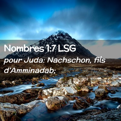 Picture 02 - Nombres 1:7 LSG - pour Juda: Nachschon, fils - Bible Verse Picture